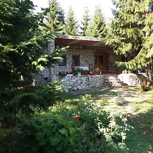 Hyrmet Demushi , Valbone Albania